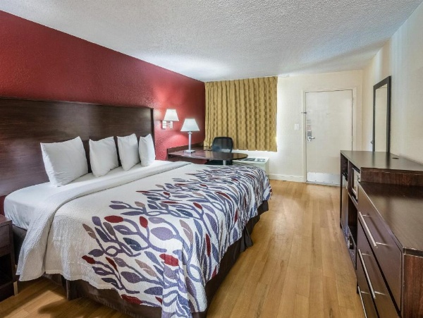 Red Roof Inn Orlando South - Florida Mall image 14